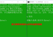 FRP内网穿透 WINDOWS批处理一键安装到系统服务后台运行