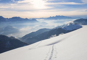 chrome和firefox关闭webrtc